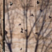 η εισήγησή μου στο ΕΡΓΑΣΤΗΡΙΟ ΚΡΙΤΙΚΗΣ ΣΚΕΨΗΣ ΤΟΥ ΠΑΔΑ (Τρίτη 31 Ιανουαρίου 2023, 6-8μμ, κτήριο 16, αμφιθέατρο 002) – προανάρτηση προκειμένου να έχουν χρόνο οι συμμετέχοντες/συμμετέχουσες να μελετήσουν και να συμμετάσχουν στη συζήτηση…